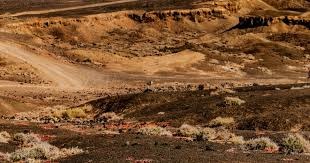 DO：没听说切尔西有解雇马雷斯卡的想法或行动，