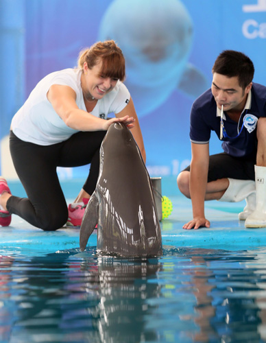 这曾助力巴 这曾助力巴